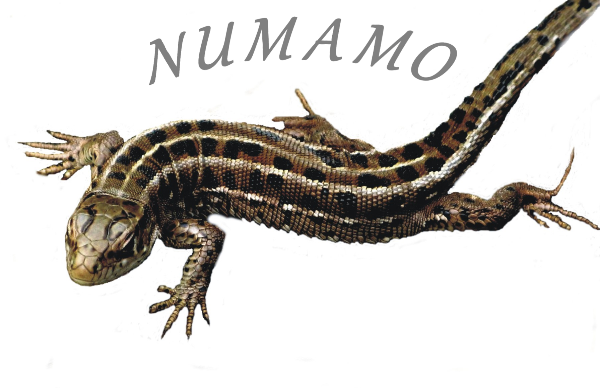NUMAMO-lizard-sign